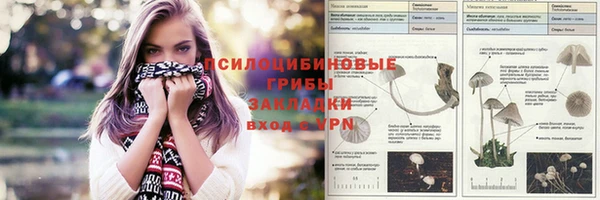 СК Абдулино