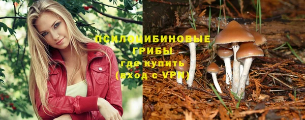 Альфа ПВП Абинск