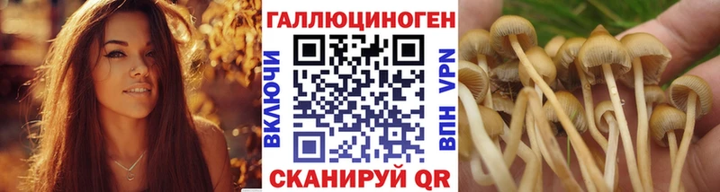 MEGA сайт  Знаменск  Галлюциногенные грибы мицелий 